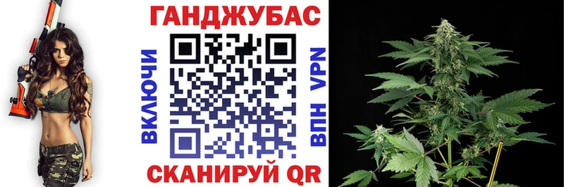 МАРИХУАНА сатива  наркота  Суворов 